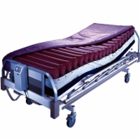 Lap Belt, 50"